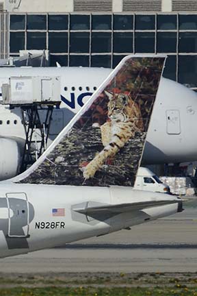 Frontier Airbus A319-111 N928FR Hank the Bobcat, Los Angeles international Airport, January 19, 2015